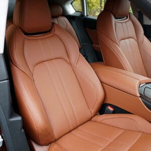 Leather Trim